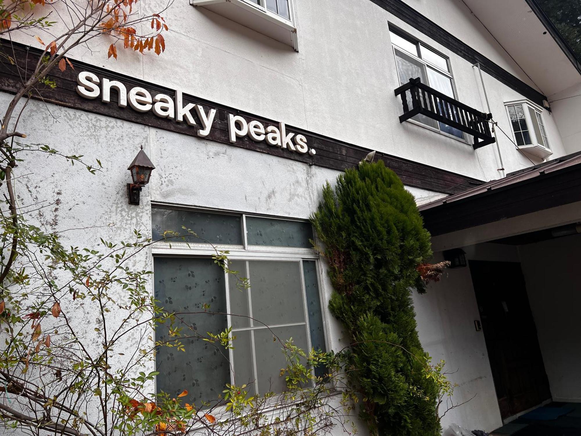 Hotel Sneaky Peaks à Hakuba Extérieur photo